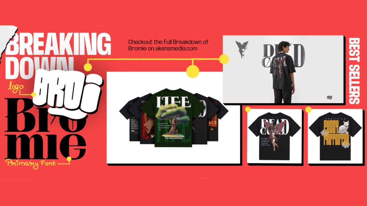 Dive into What We Offer !