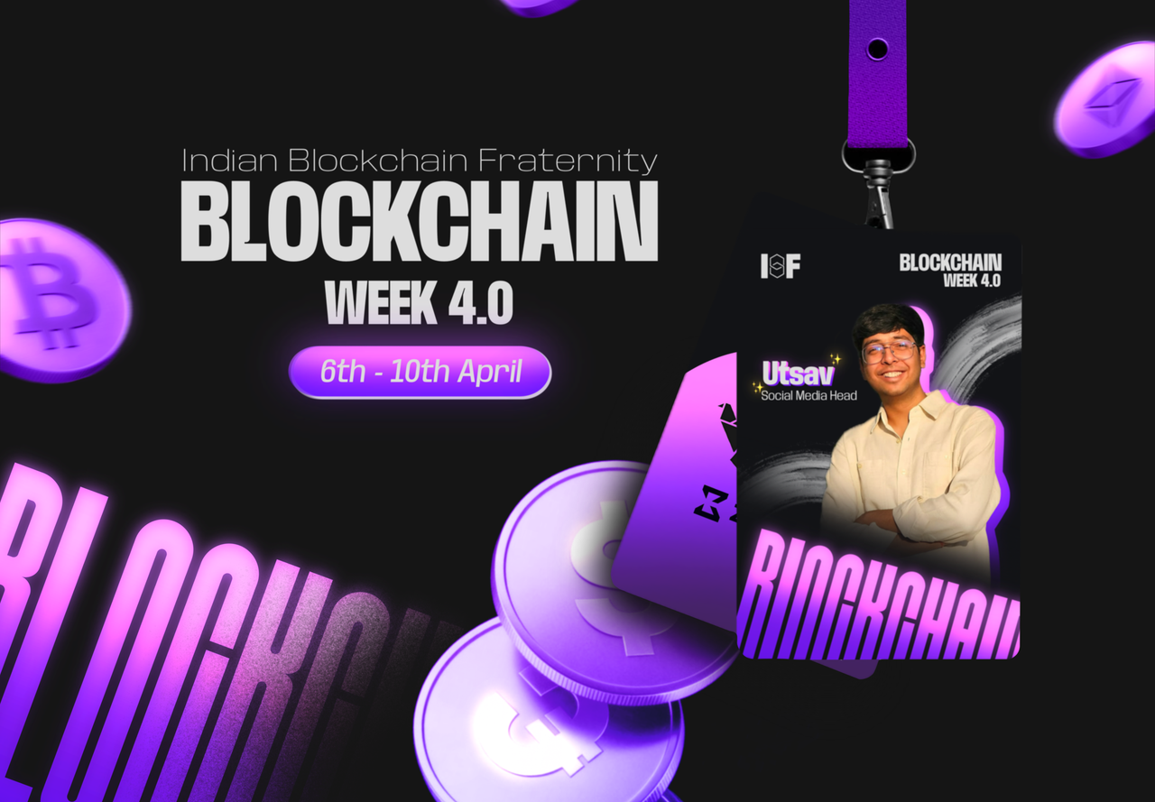 Dive into What We Offer !